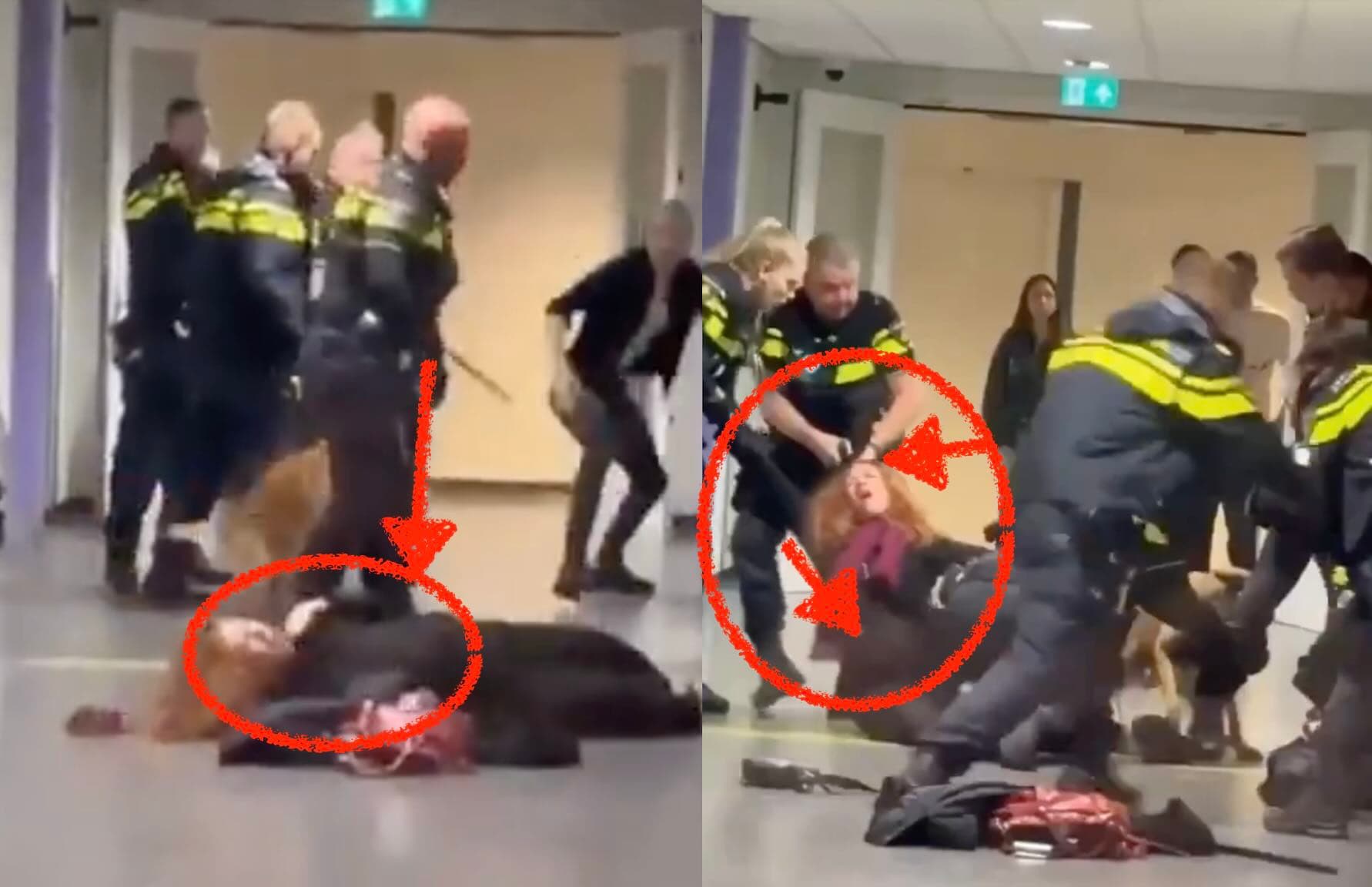 Dutch Policeman Floors A Pregnant Woman